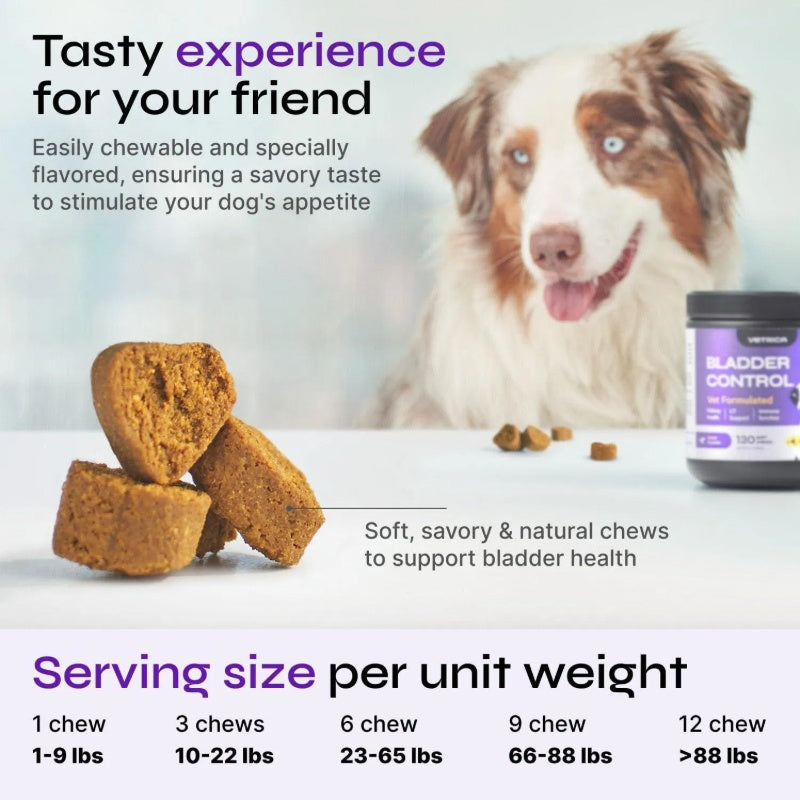 Dog UTI Cranberry Chews Supplement For Urinary Tract Bladder & Kidney Health Soft Treats