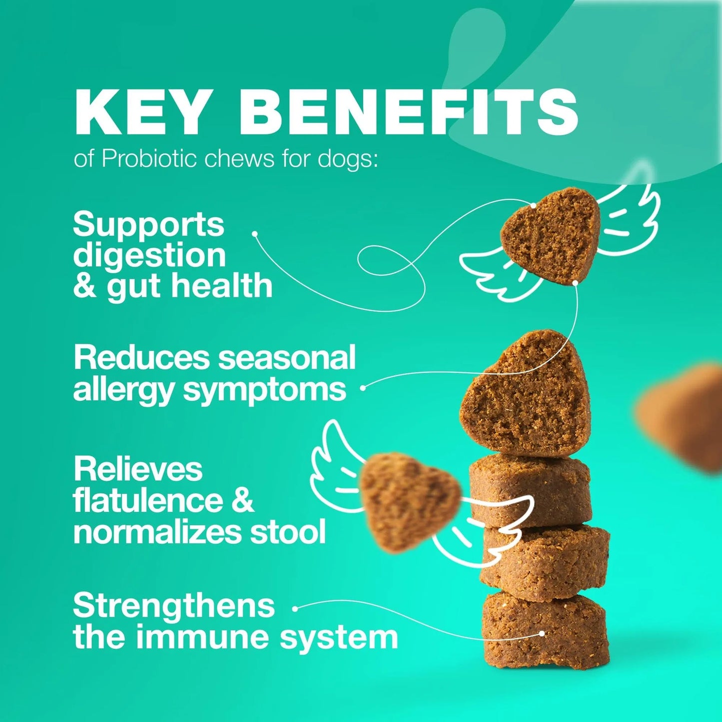 Probiotics For Dogs Support Gut Health Immunity Yeast Balance Itchy Skin Allergies Probiotics And Digestive Enzymes 180 Probiotic Chews For Dogs