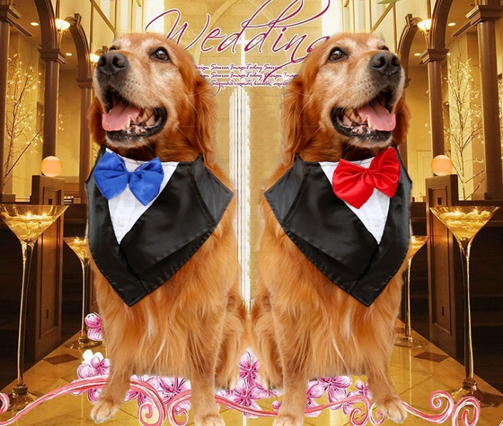 Wedding tuxedo big dog triangle scarf large handsome pet scarf