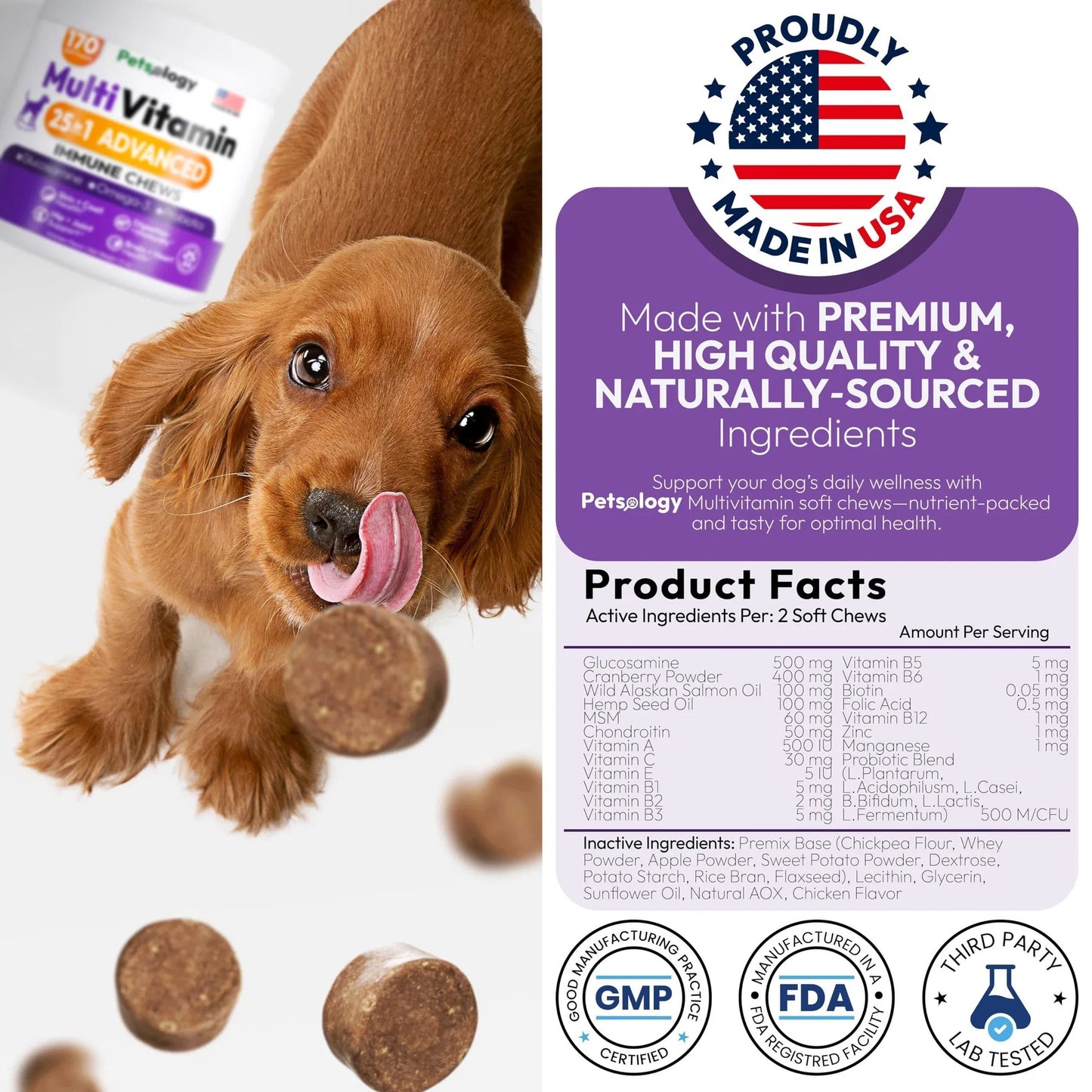 Dog Multivitamin With Glucosamine 170 Chews Hip & Joint Pet Immune Support Skin & Coat Gut & Heart Health Senior & Puppy Multivitamin Pet Supplement