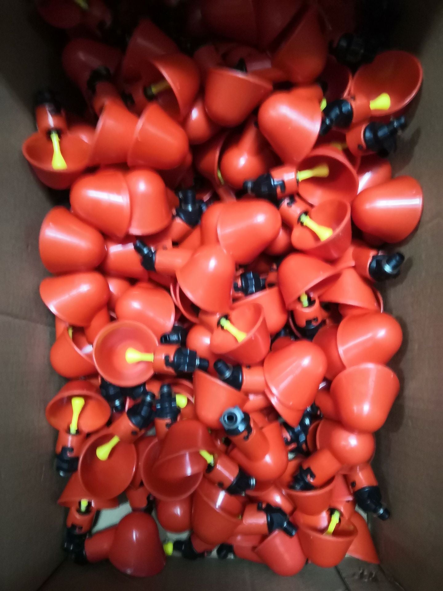 Automatic Drinking Bowl For Chickens, Pigeon Supplies, Plastic Poultry Drinking Fountains