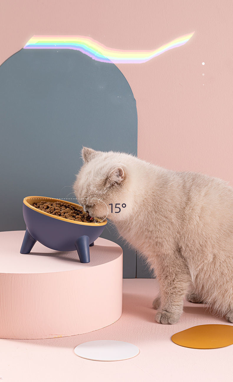 Bowl With Stand Pet Feeding