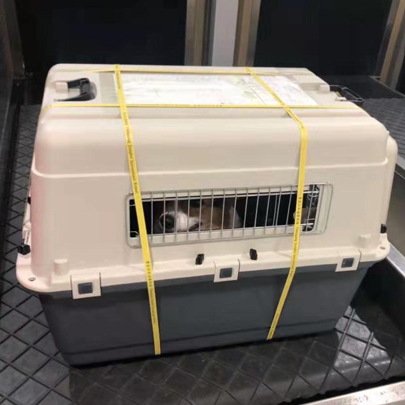 Pet Air Travel Box Transportation Transportation And Portability