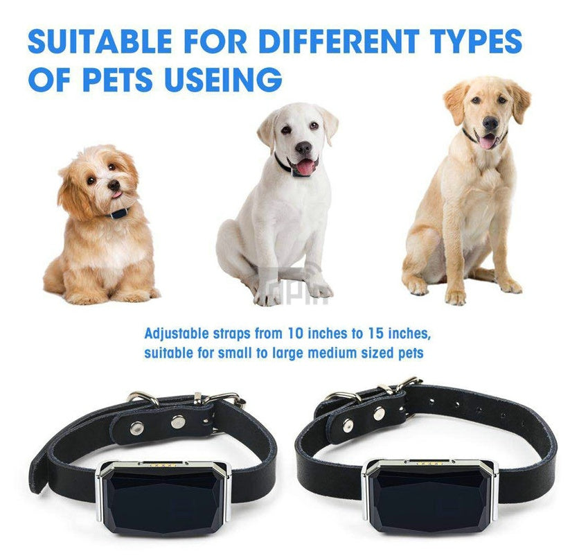 Pet Tracking Locator *Free Shipping