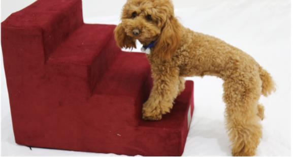 Pet stair ladder dog stair *Free Shipping