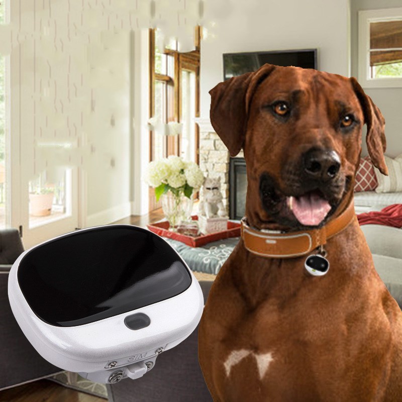 Mini Quickly Locate Pet Collar Portable With LED Light Waterproof Smart *Free Shipping