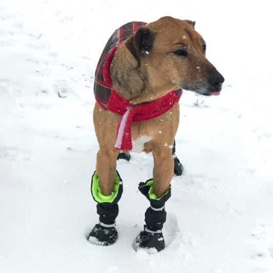 Pet Shoes For Dogs waterproof And Snowproof Rain Boots