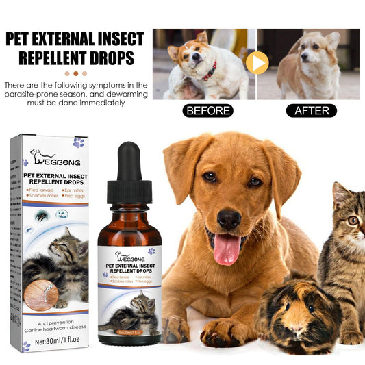 Igbang Pet External Deworming Drops For Cats And Dogs To Remove Ticks And Fleas