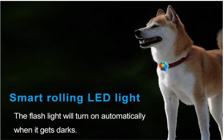 Dog Pet Collar Anti Loss Locator *Free Shipping