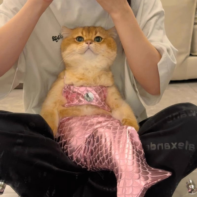 Mermaid Tail Decoration Cats Small And Medium Sized Dog Clothes