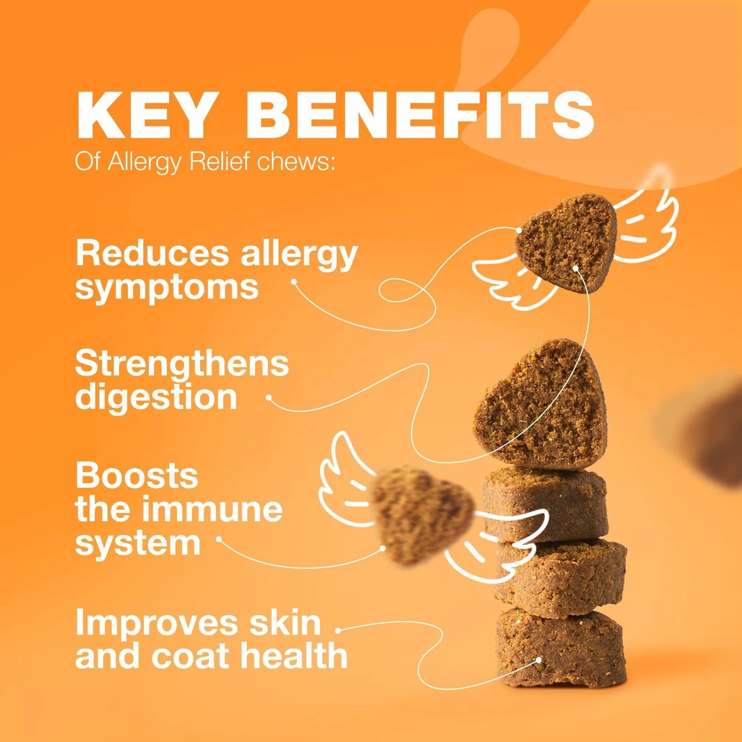 Dog Allergy Relief Chews Itch Relief For Anti Itch Dog Allergy Itching Skin Relief With Salmon Oil Immune Health Treats