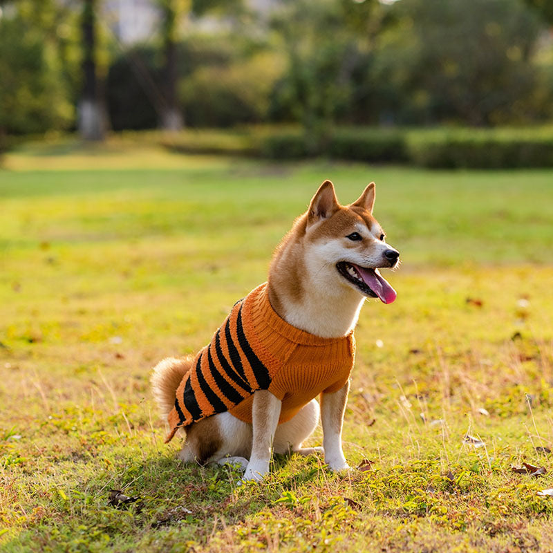Halloween Dog Sweaters Pet Costume For Dogs Pets Outfits