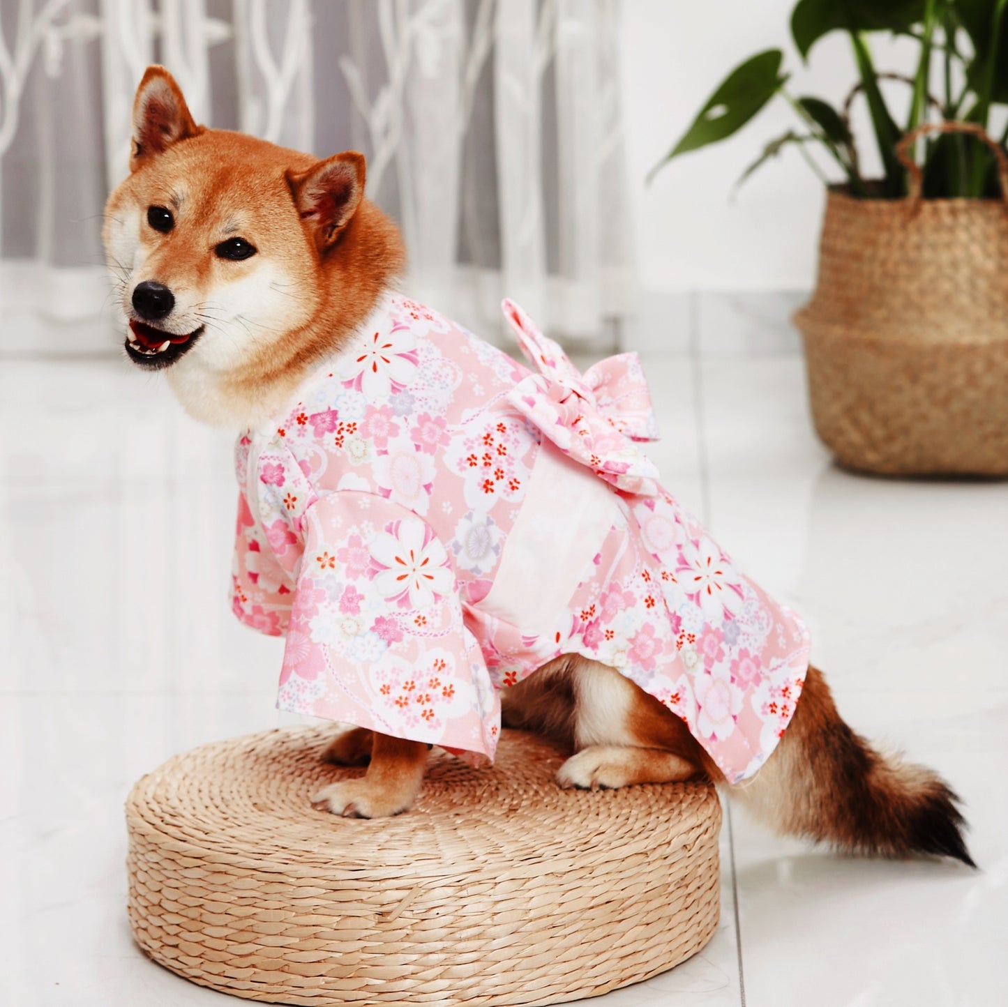 Fashion Kimono Pet Decoration Clothes Cat