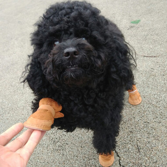 Pet Shoes Cotton Snow Boots Non-slip Bichon