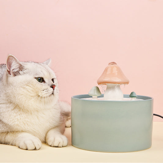 Flow Circulation Filtration Of Cat Water Dispenser