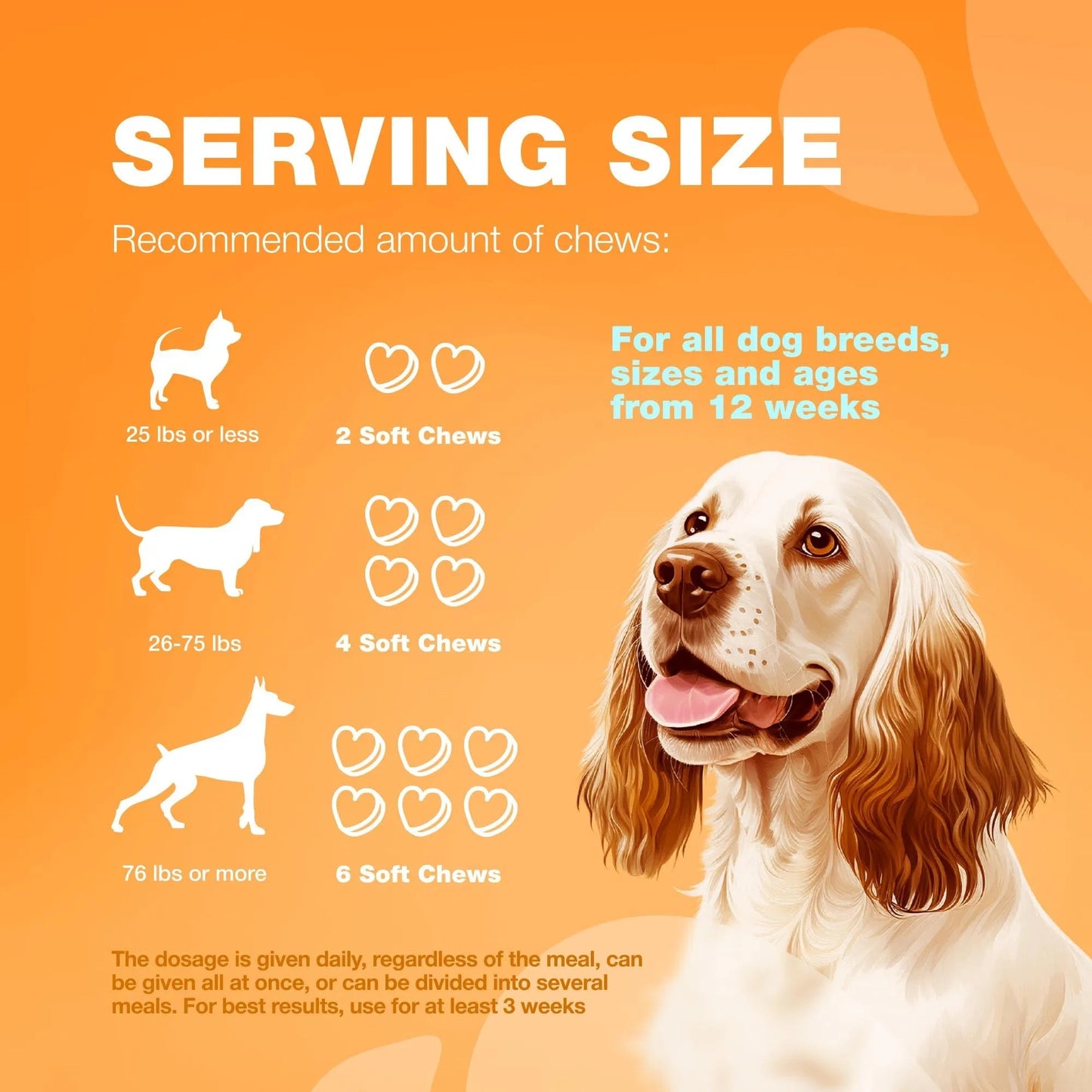 Dog Allergy Relief Chews Itch Relief For Anti Itch Dog Allergy Itching Skin Relief With Salmon Oil Immune Health Treats