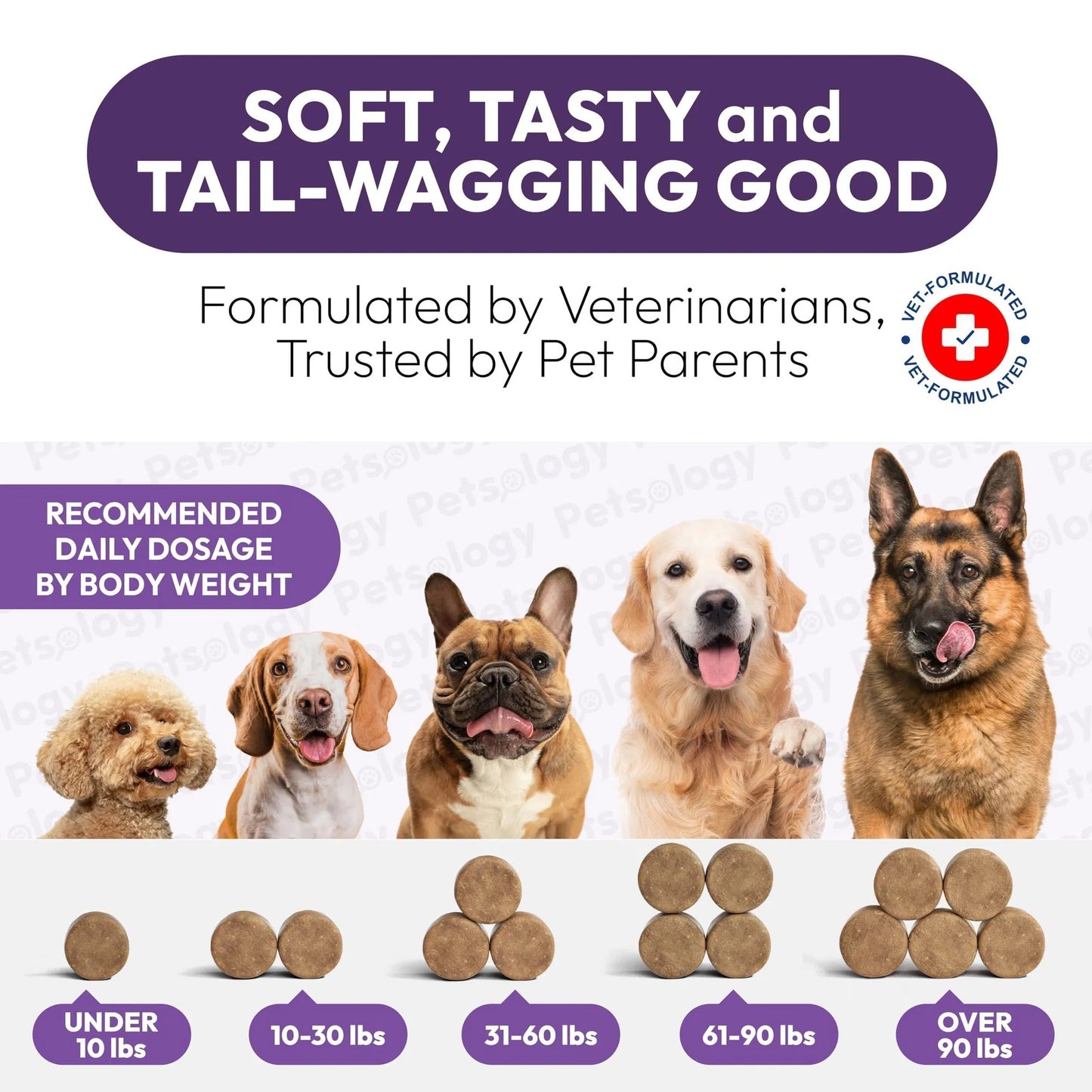 Dog Multivitamin With Glucosamine 170 Chews Hip & Joint Pet Immune Support Skin & Coat Gut & Heart Health Senior & Puppy Multivitamin Pet Supplement