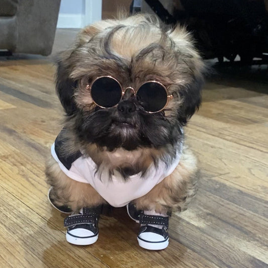 Small Dog Poodle Shoes Anti-dirty Anti-slip Canvas Shoes