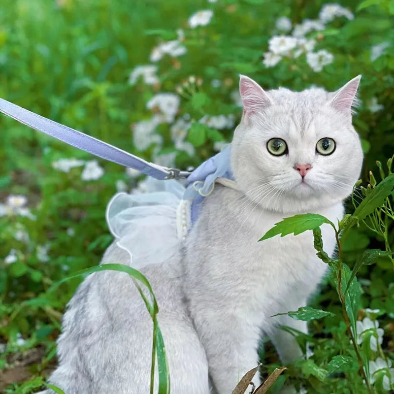 Small Cute Bow-knot Pet Harness Leash Pet Princess Nylon Kittten *Free Shipping