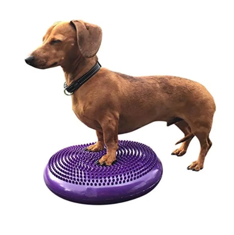 Dogs Training Fitness Sports Muscle Atrophy Dog Agility Toy *Free shipping
