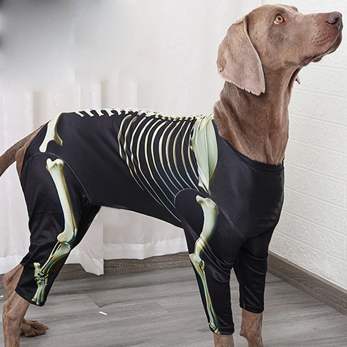 Pet Dog Halloween Costume Skeleton Outfit Comfortable Cool Large Dog clothes *Free shipping