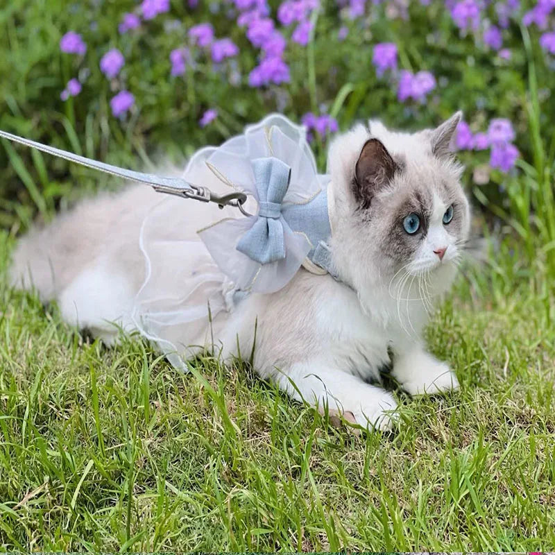 Small Cute Bow-knot Pet Harness Leash Pet Princess Nylon Kittten *Free Shipping