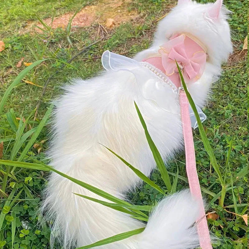 Small Cute Bow-knot Pet Harness Leash Pet Princess Nylon Kittten *Free Shipping