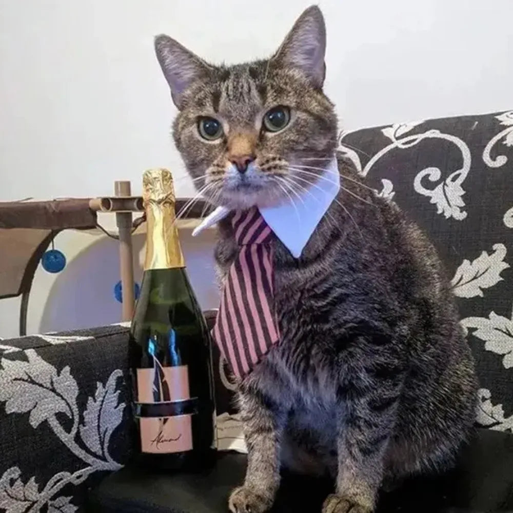 Pet Tie Necktie,  Adjustable Collar for Small Dogs and Cats *Free Shipping