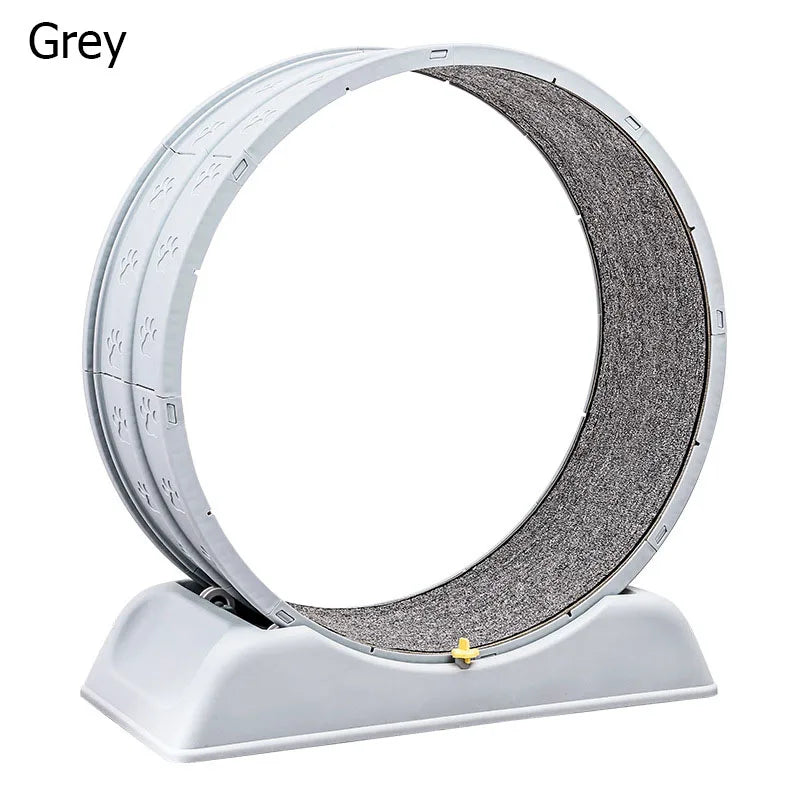 Pet  treadmill fitness exercise, silent cat running wheel, *FREE SHIPPING