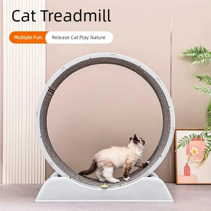 Pet  treadmill fitness exercise, silent cat running wheel, *FREE SHIPPING