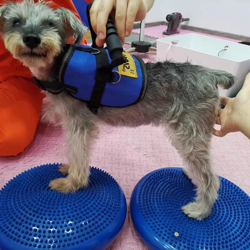 Dogs Training Fitness Sports Muscle Atrophy Dog Agility Toy *Free shipping