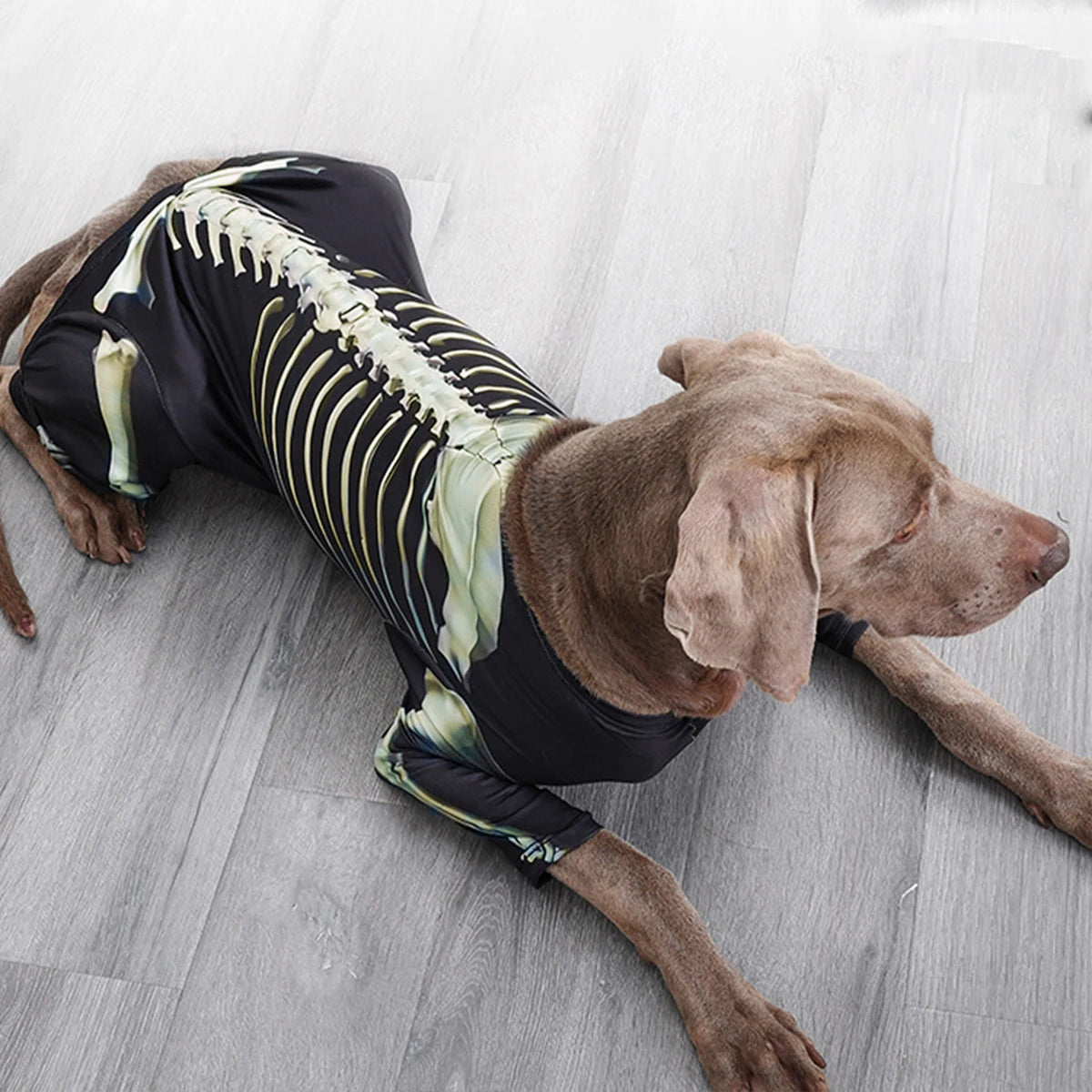 Pet Dog Halloween Costume Skeleton Outfit Comfortable Cool Large Dog clothes *Free shipping