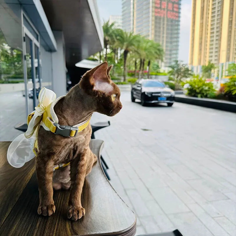 Small Cute Bow-knot Pet Harness Leash Pet Princess Nylon Kittten *Free Shipping