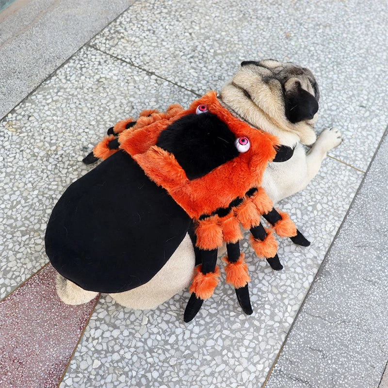 Pet Halloween Cute Red Eyed Spider Chest Back Transformation Costume *Free Shipping