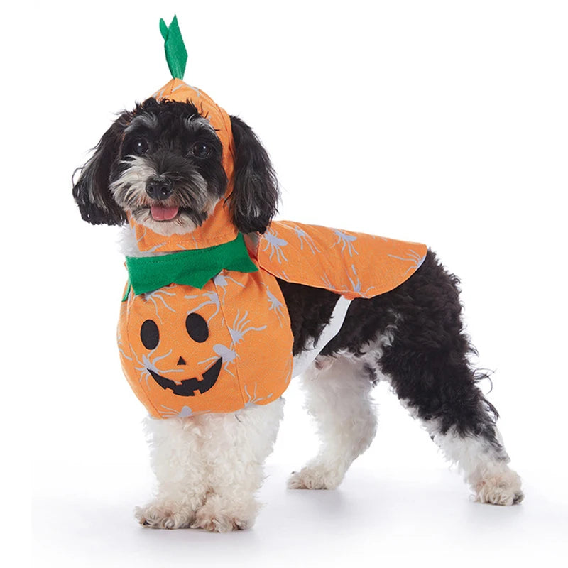 Pet Halloween Costume Dog Clothing