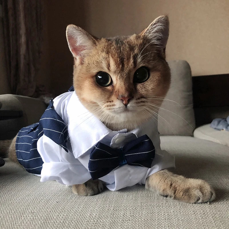 Handsome Cat Dog Suit Clothing for Cats Small Dogs Wedding Birthday *Free Shipping