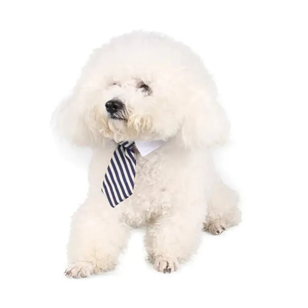 Pet Tie Necktie,  Adjustable Collar for Small Dogs and Cats *Free Shipping
