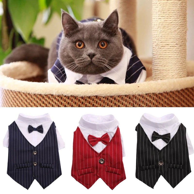 Handsome Cat Dog Suit Clothing for Cats Small Dogs Wedding Birthday *Free Shipping
