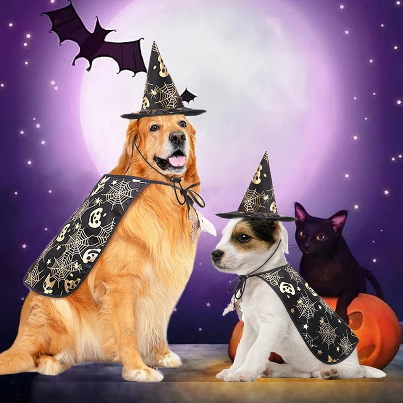 Halloween  Pet  Cape And Hat Outfit Cosplay Clothes Apparel *Free Shipping