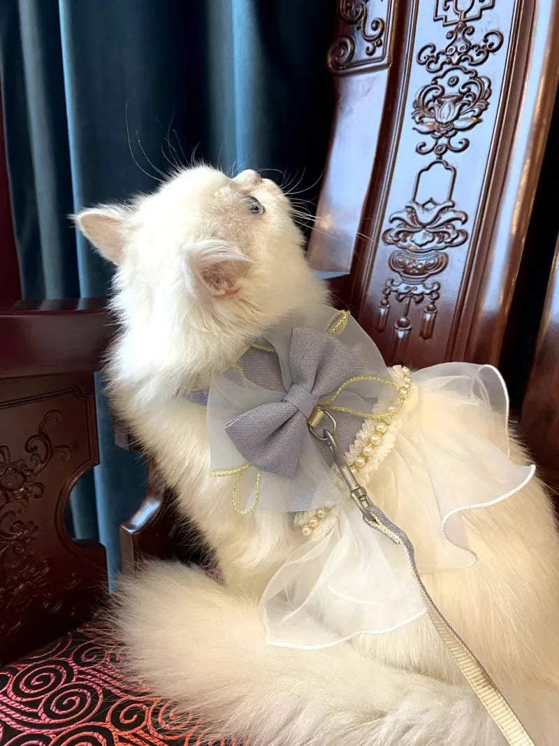 Small Cute Bow-knot Pet Harness Leash Pet Princess Nylon Kittten *Free Shipping