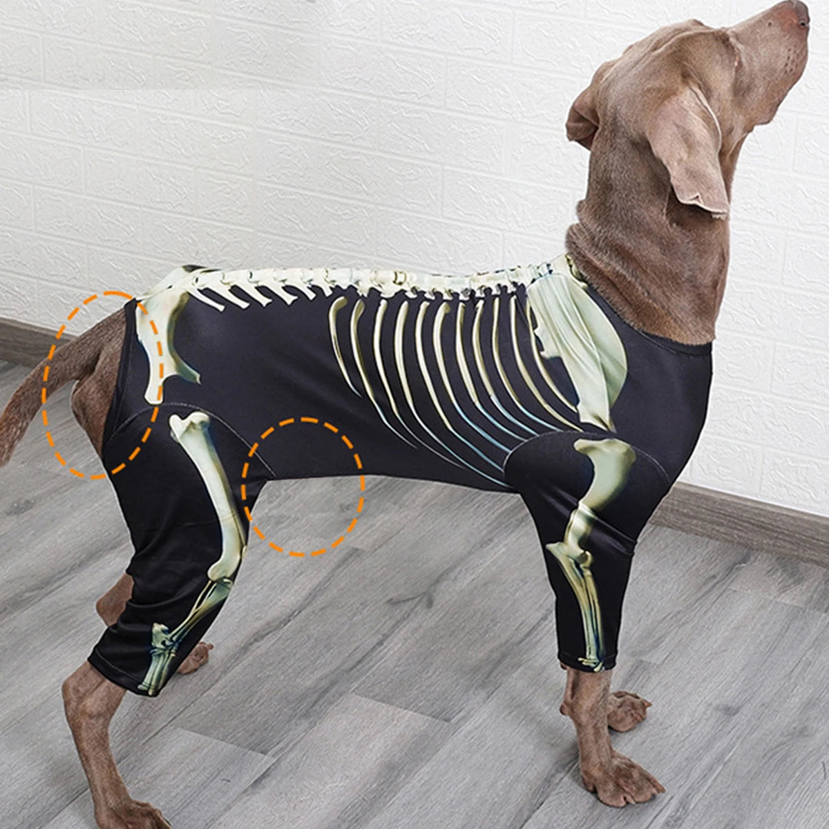 Pet Dog Halloween Costume Skeleton Outfit Comfortable Cool Large Dog clothes *Free shipping
