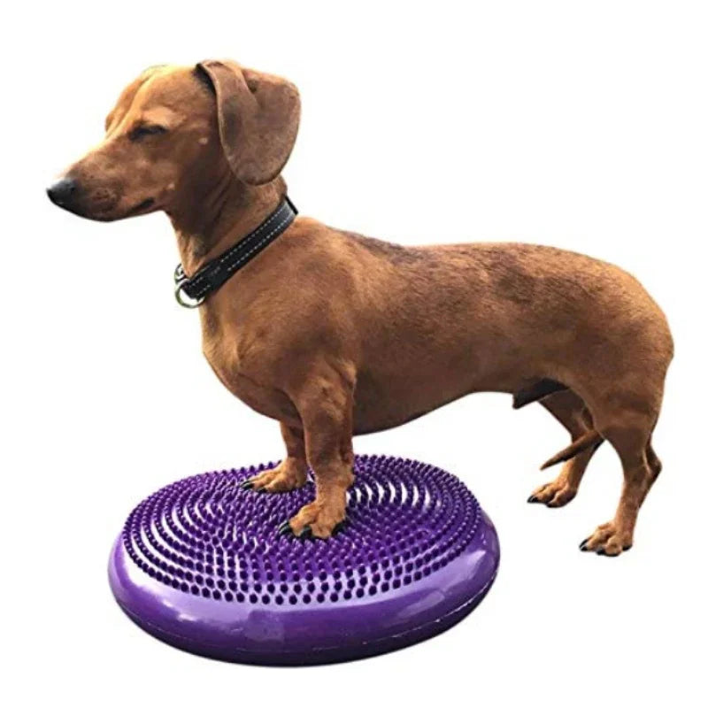 Dogs Training Fitness Sports Muscle Atrophy Dog Agility Toy *Free shipping
