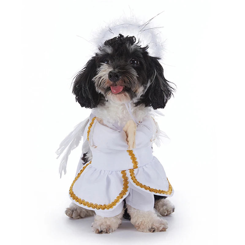 Pet Halloween Costume Dog Clothing