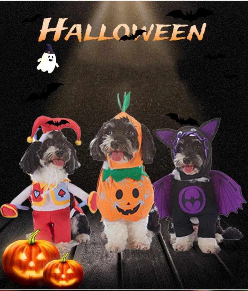 Pet Halloween Costume Dog Clothing