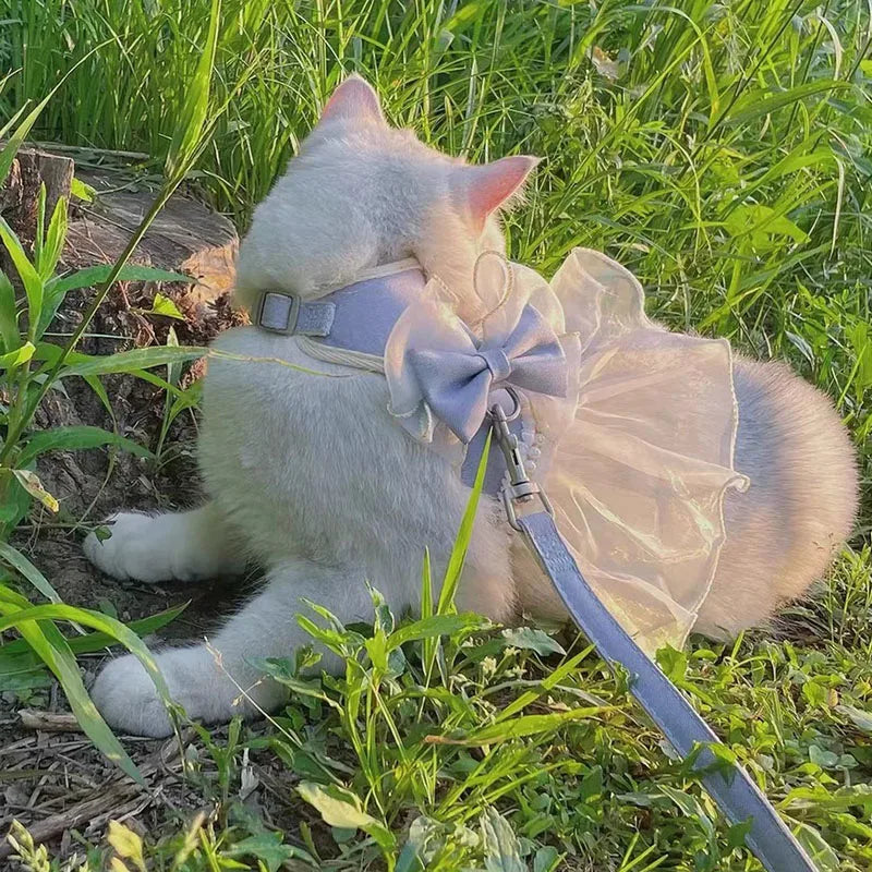 Small Cute Bow-knot Pet Harness Leash Pet Princess Nylon Kittten *Free Shipping