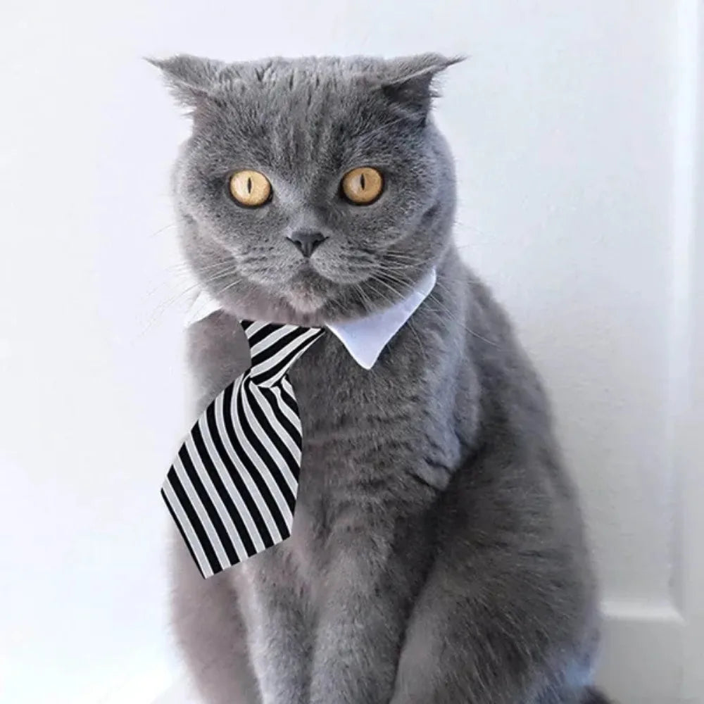 Pet Tie Necktie,  Adjustable Collar for Small Dogs and Cats *Free Shipping