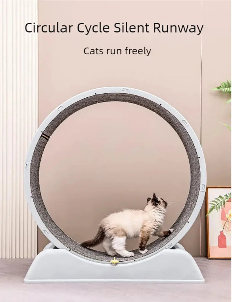 Pet  treadmill fitness exercise, silent cat running wheel, *FREE SHIPPING
