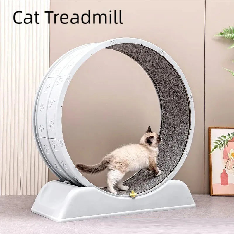Pet  treadmill fitness exercise, silent cat running wheel, *FREE SHIPPING