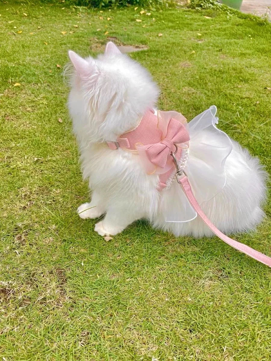 Small Cute Bow-knot Pet Harness Leash Pet Princess Nylon Kittten *Free Shipping