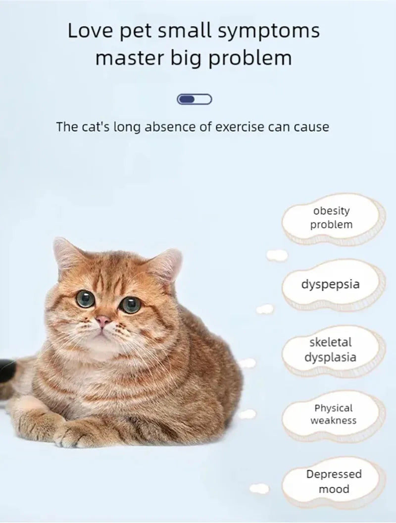 Pet  treadmill fitness exercise, silent cat running wheel, *FREE SHIPPING